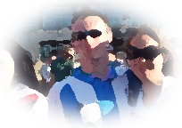 Huddersfield Town fans